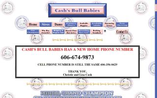 Cash's Bull Babies