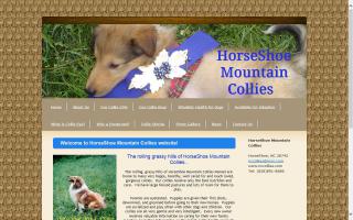 HorseShoe Mountain Collies