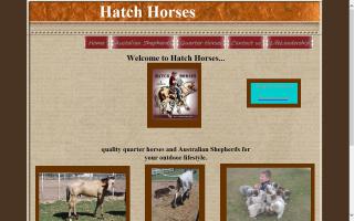 Hatch Horses & Aussies