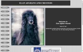 Elan Afghan Hounds