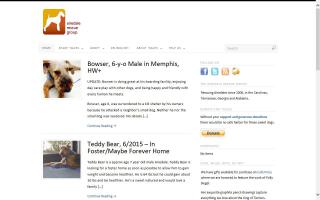 Airedale Rescue Group
