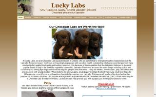 Lucky Labs