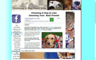 Choosing A Dog Made Easy