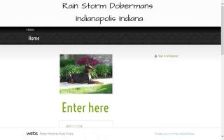 Rain Storm Doberman Pinschers