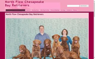 North Flow Chesapeake Bay Retrievers