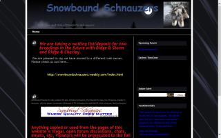 Snowbound Schnauzers