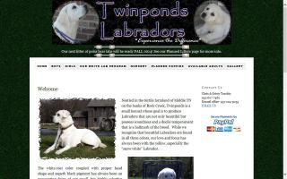 Twinponds Labradors