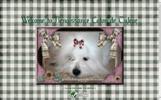 Renaissance Coton de Tulear