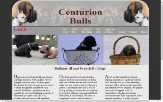 Centurion Bullmastiffs