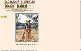 Sagacious Airedales