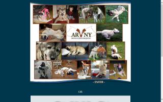 Akita Rescue of Western New York, Inc. - ARWNY