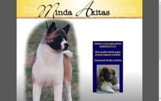 Minda Akitas