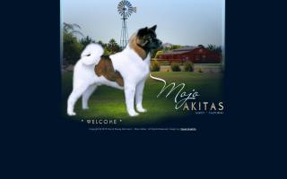 MoJo Akitas