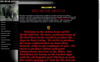 Big Bear Akitas