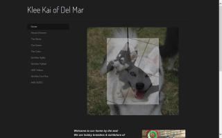 Klee Kai of Del Mar