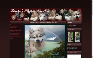 Sibridge's Alaskan Klee Kai