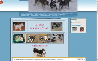 Alyeska Alaskan Klee Kai