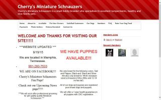 Cherry's Miniature Schnauzers