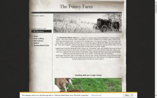 Funny Farm, The