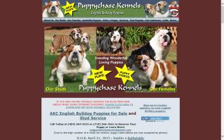 Puppychase Kennels