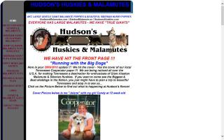 Hudson's Huskies & Malamutes