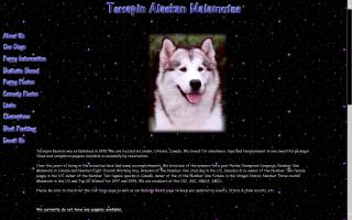 Terrapin Registered Alaskan Malamutes