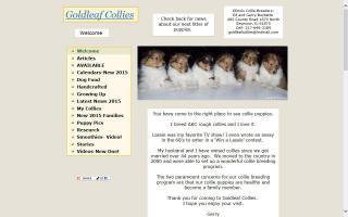 Goldleaf Collies