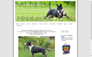 Velvest Miniature Bull Terriers