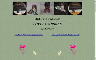 Lovely Yorkies