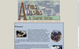 Aune's Aussies & Quarter Horses