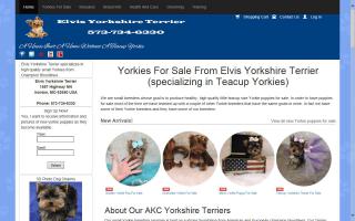 Elvis Yorkshire Terrier