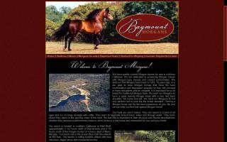 Baymount Morgan Horses