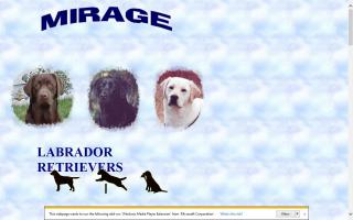 Mirage Labrador Retrievers