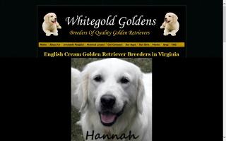 Whitegold Goldens
