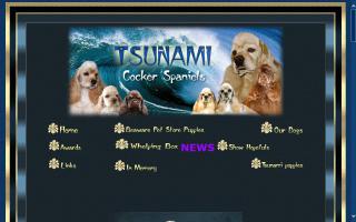 Tsunami Cocker Spaniels