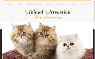 Animal Attraction Pet Grooming / Vanier Kennel