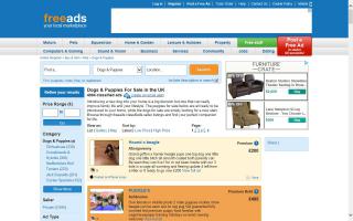 Freeads.co.uk - Dogs For Sale