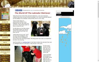 Labrador-Retriever-Info.com