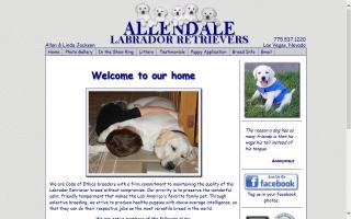 Allendale Labradors