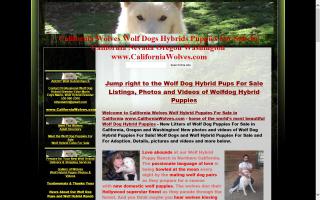 Northern California's Wolf Hybrid Ranch