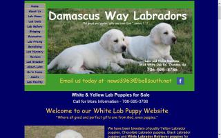 Damascus Way Labradors