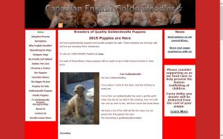 Canadian English Goldendoodles