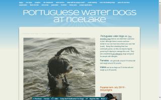 Portuguese Water Dogs at Ricelake