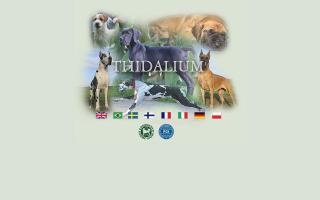 Thidalium Kennel