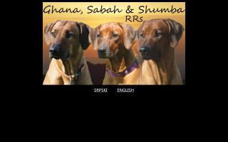 Rhodesian Ridgeback CH Douala Gana