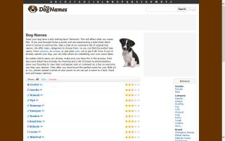 Fun Dog Names