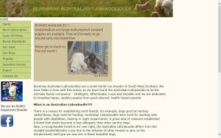 Burnbrae Australian Labradoodles