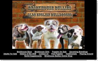 Brickhouse Bullies