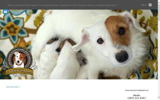 Connemara Terriers