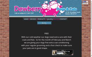 Dewberry Dogs  & Cats